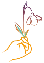 Puce Perce Neige Pyrénées