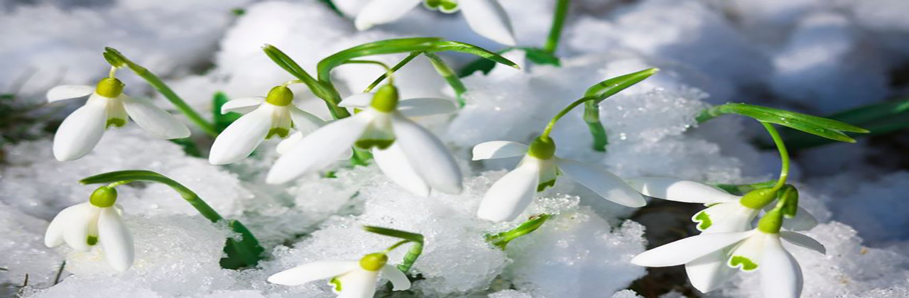 Etablissement Perce Neige Pyrénées